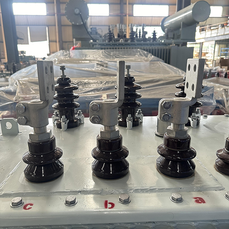 Прочные трехфазные масляные распределительные трансформаторы (4)